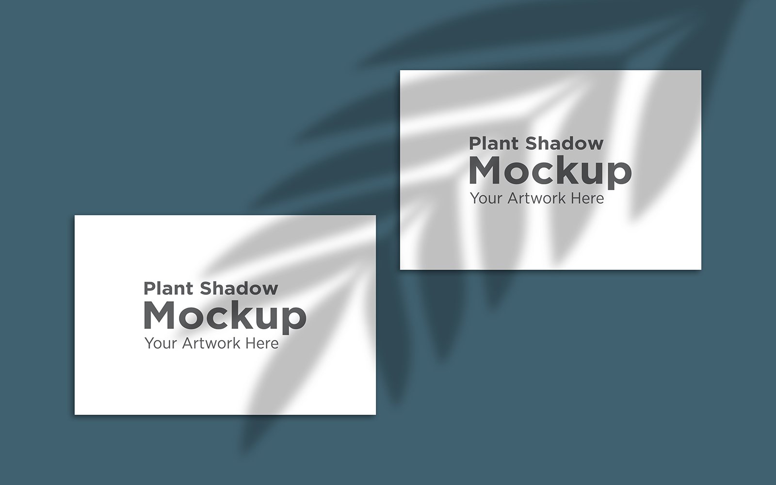 Product Mockups