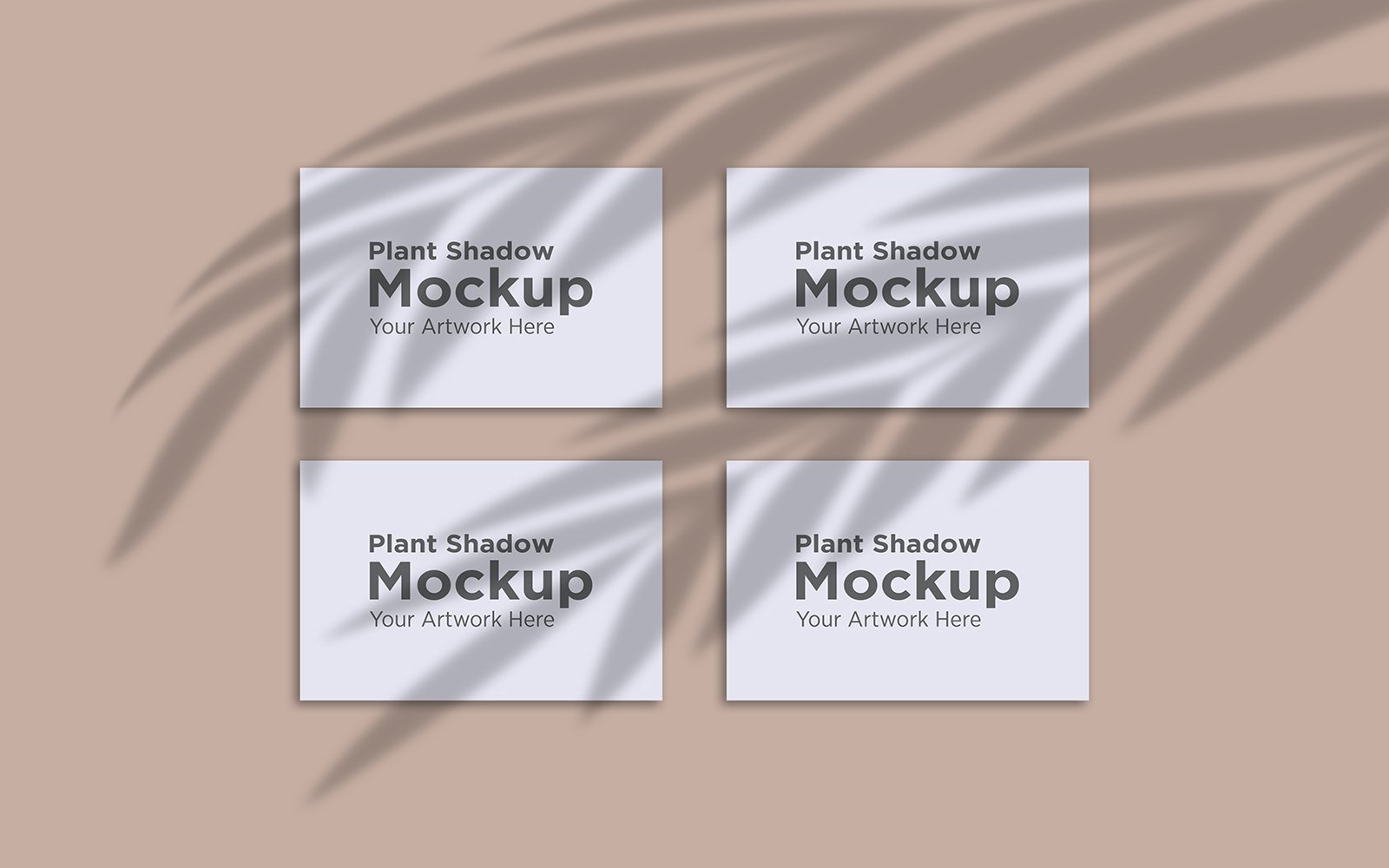 Product Mockups