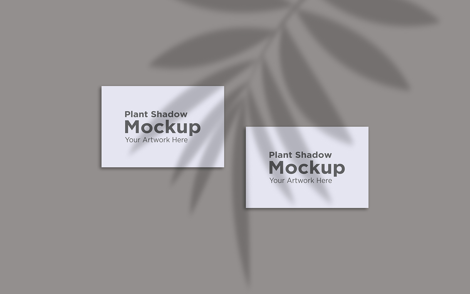 Product Mockups