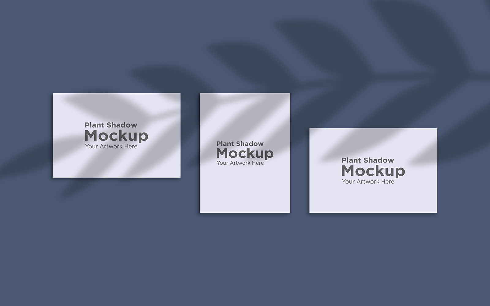 Product Mockups