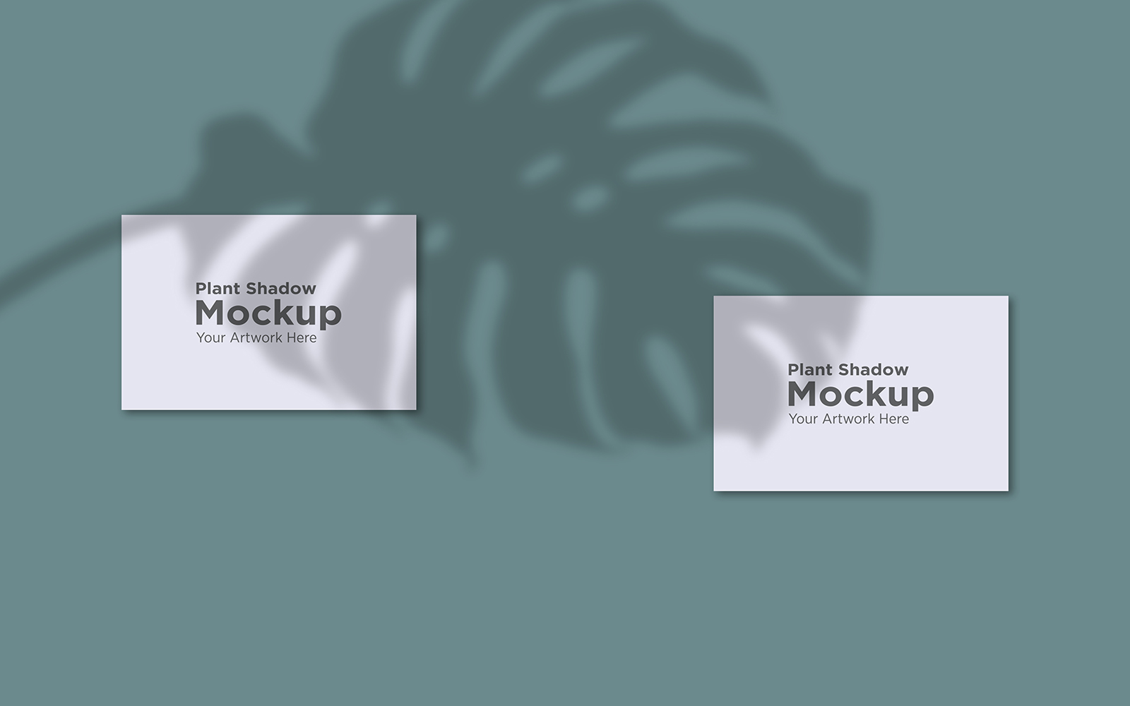 Product Mockups