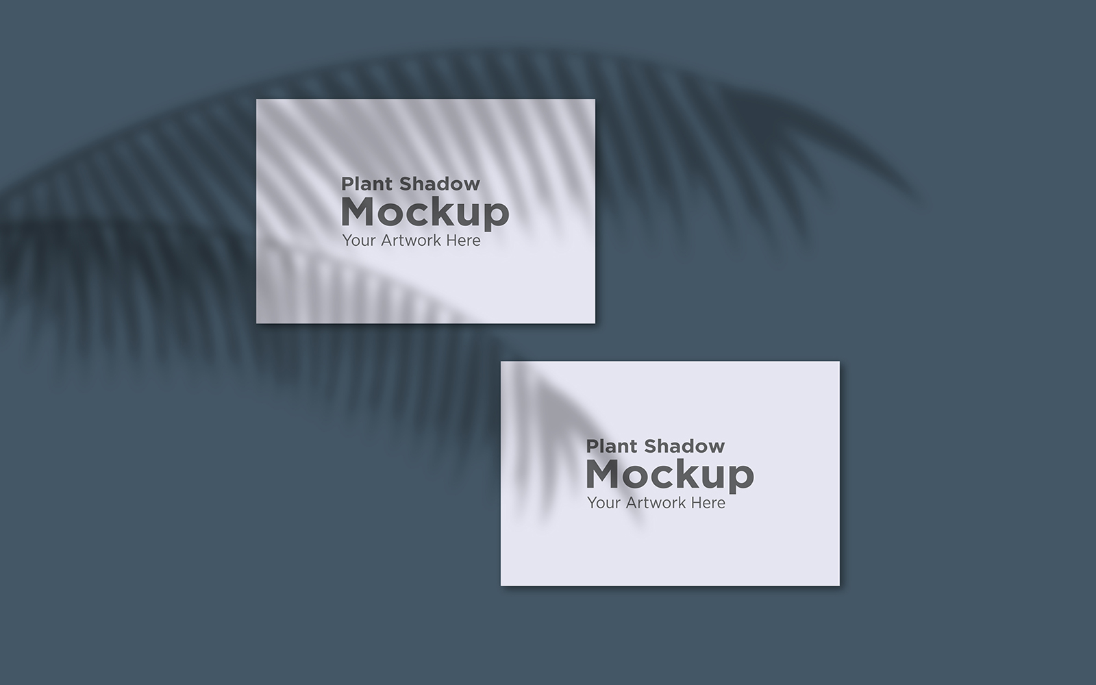 Product Mockups