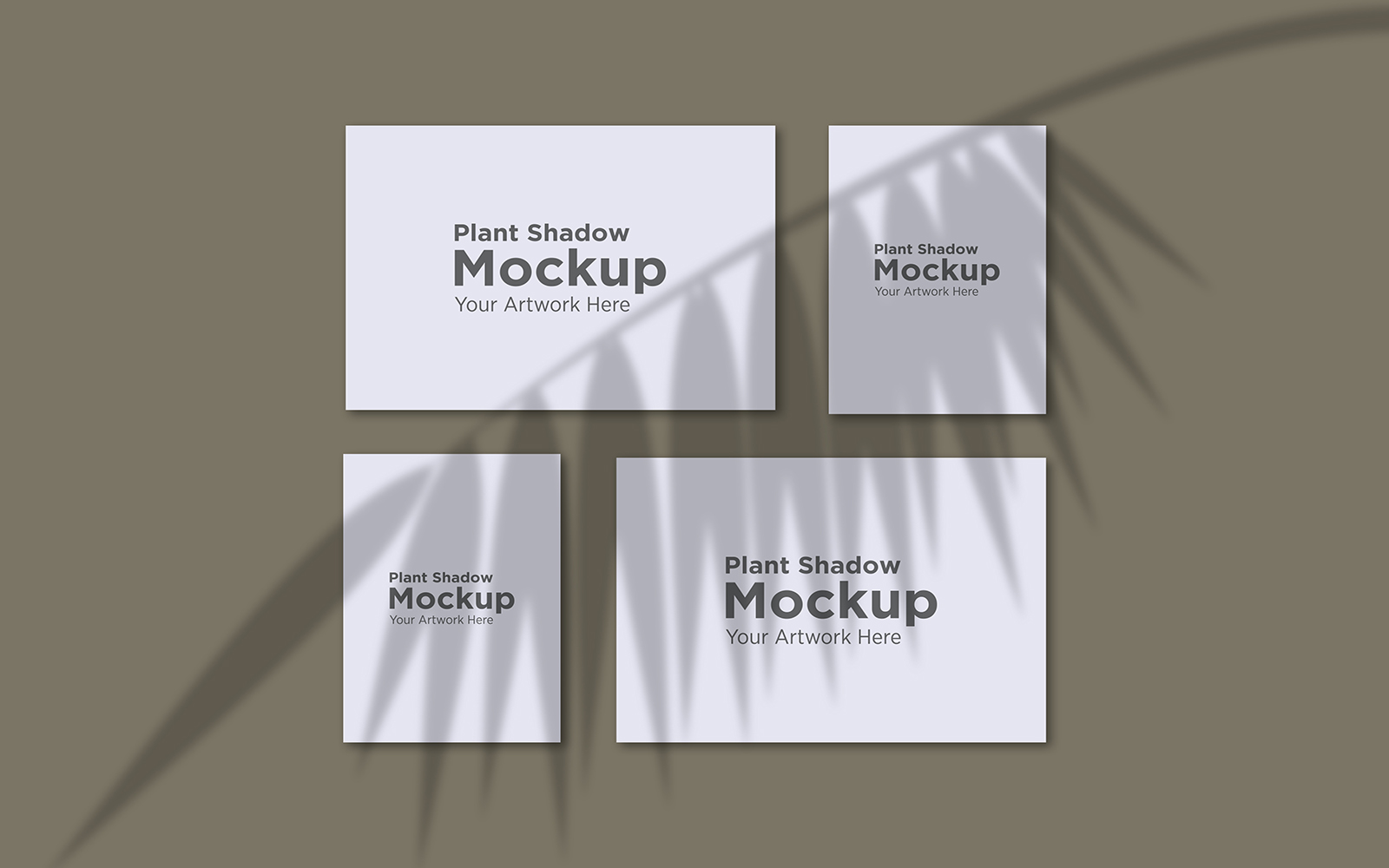 Product Mockups