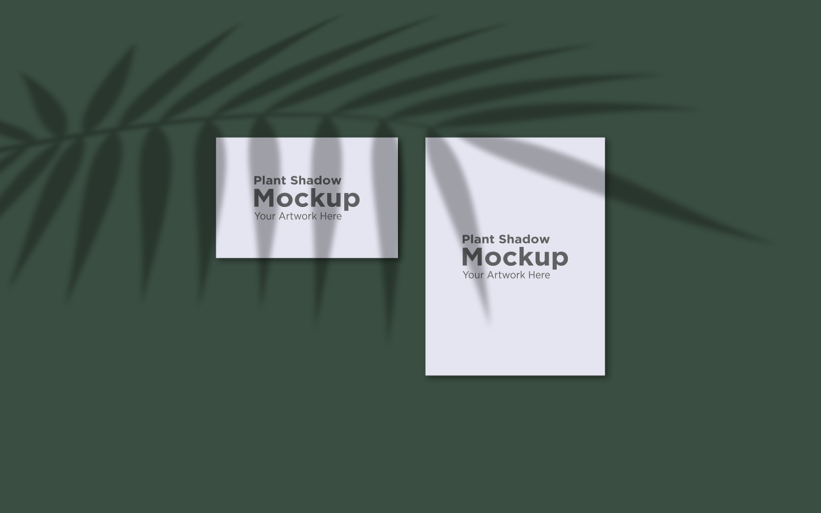 Product Mockups