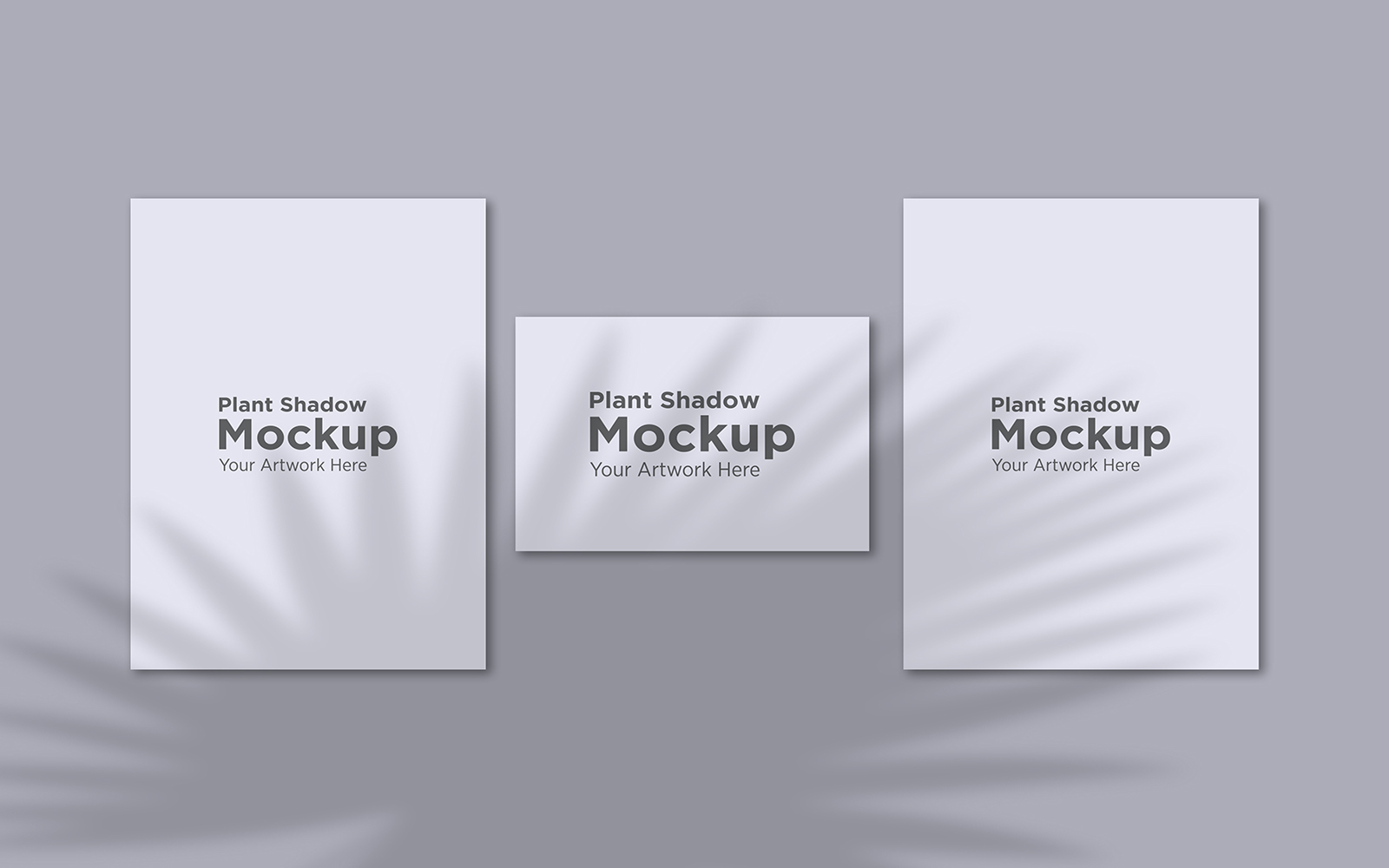 Product Mockups