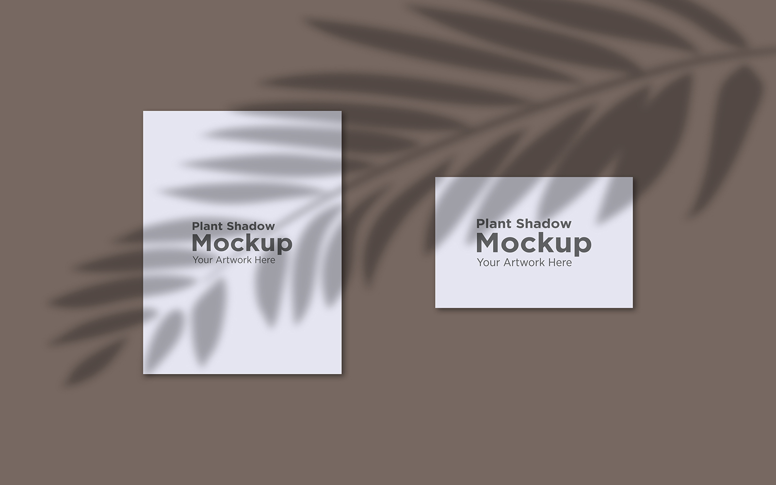 Product Mockups