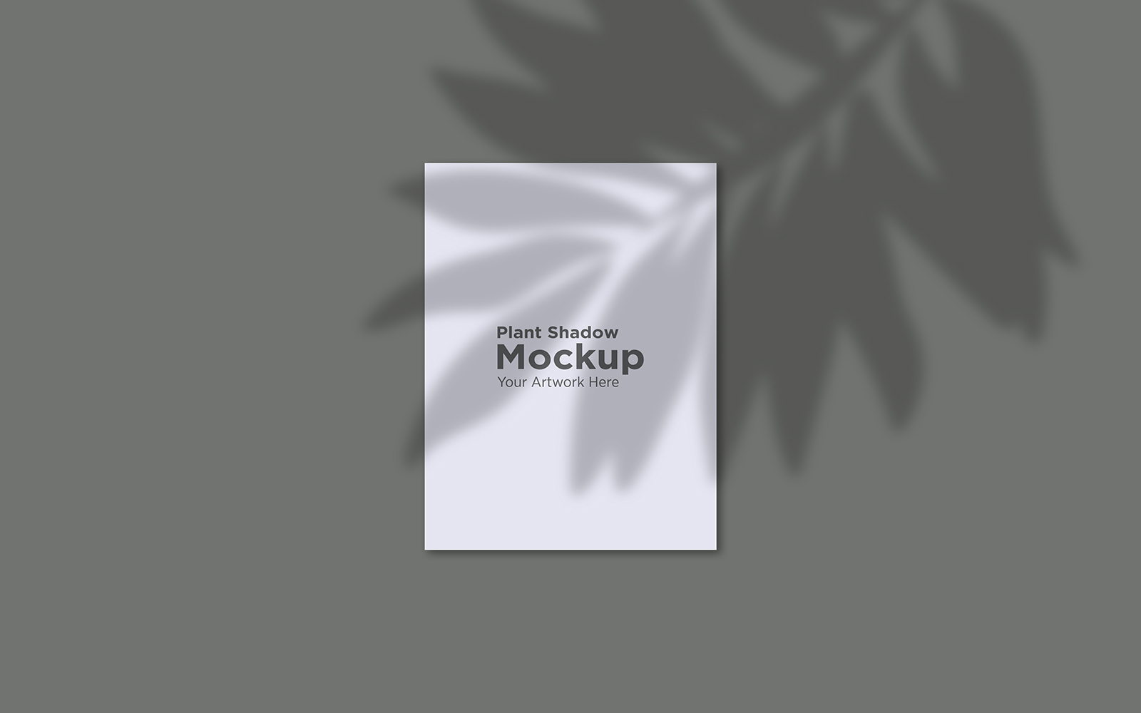 Product Mockups