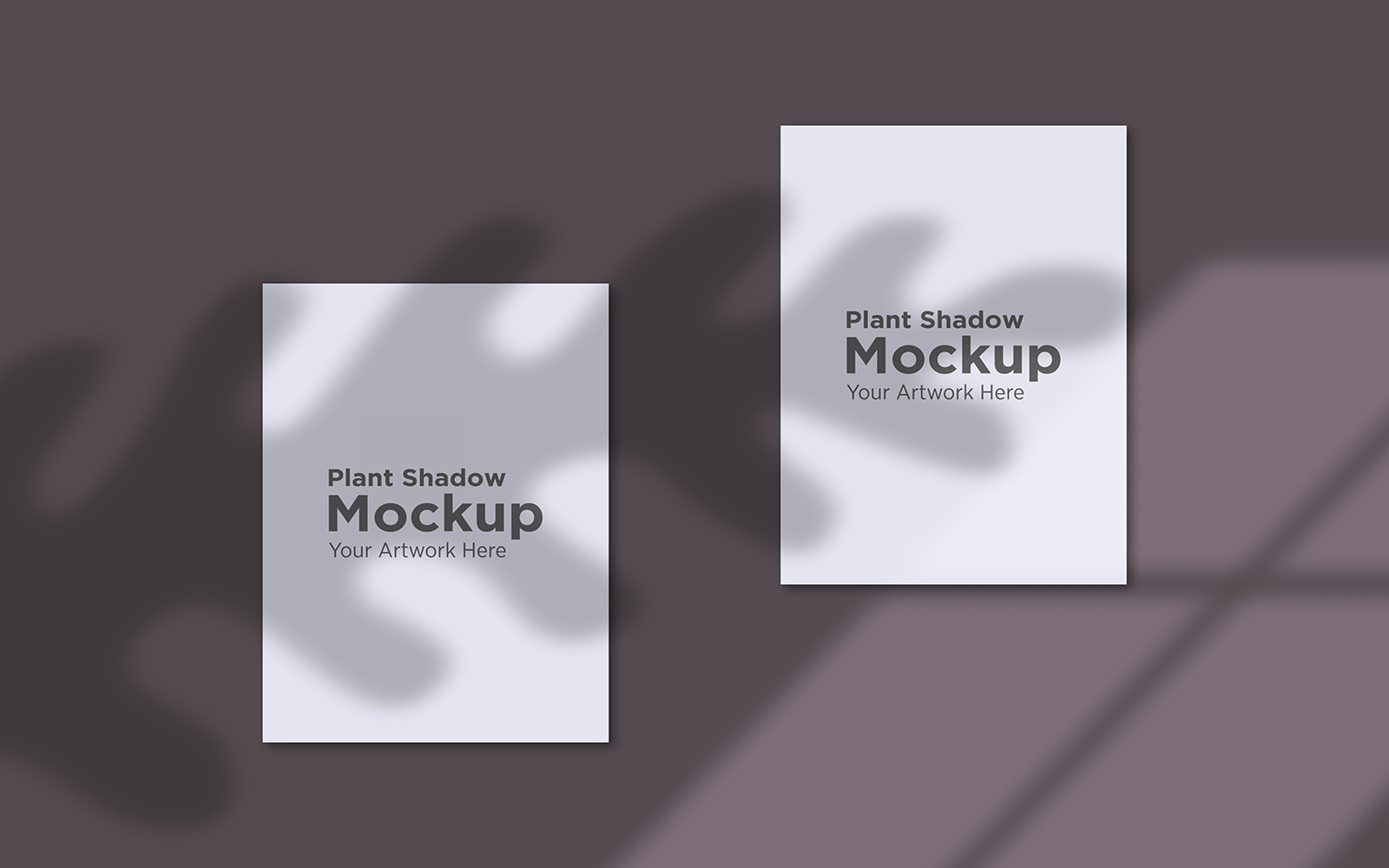 Product Mockups