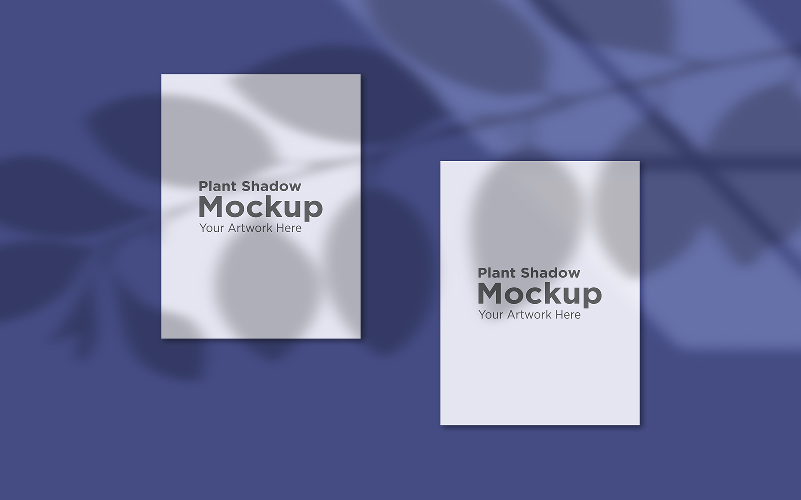 Product Mockups