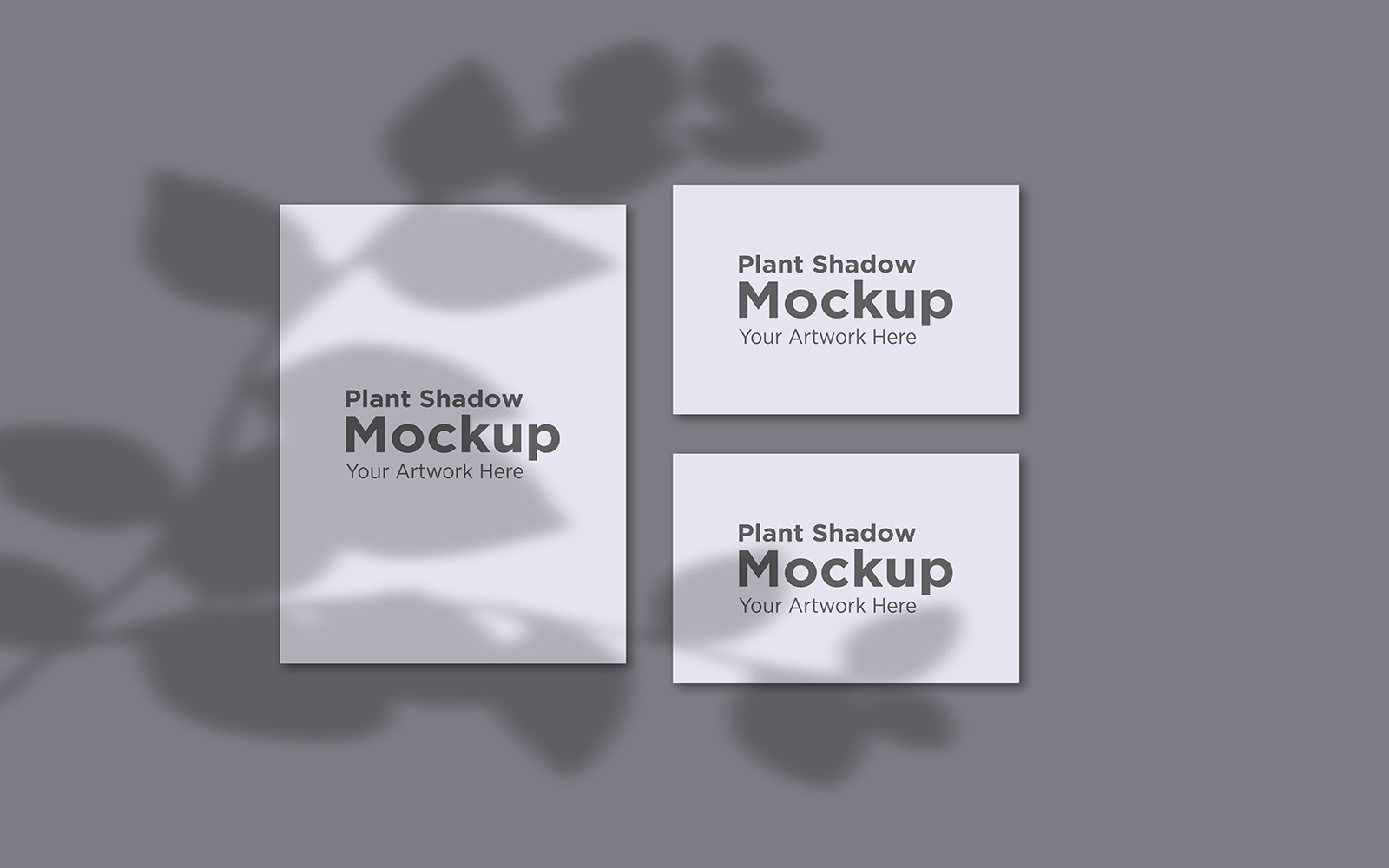 Product Mockups