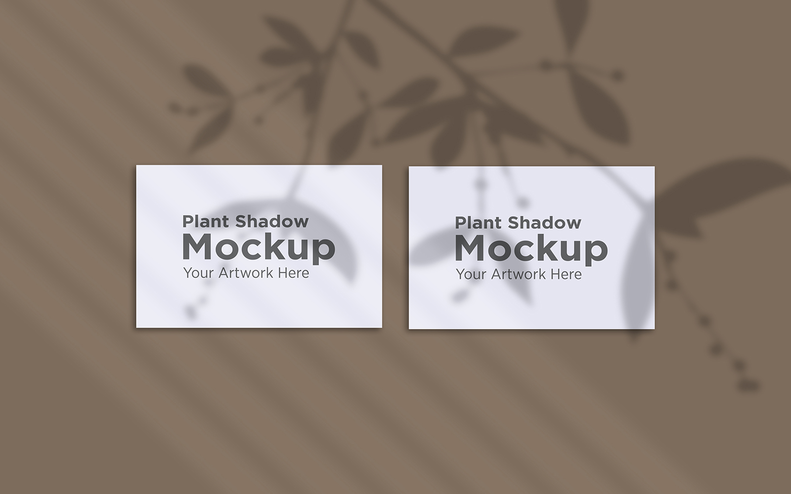 Product Mockups