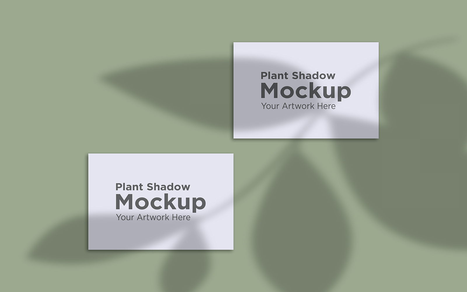 Product Mockups