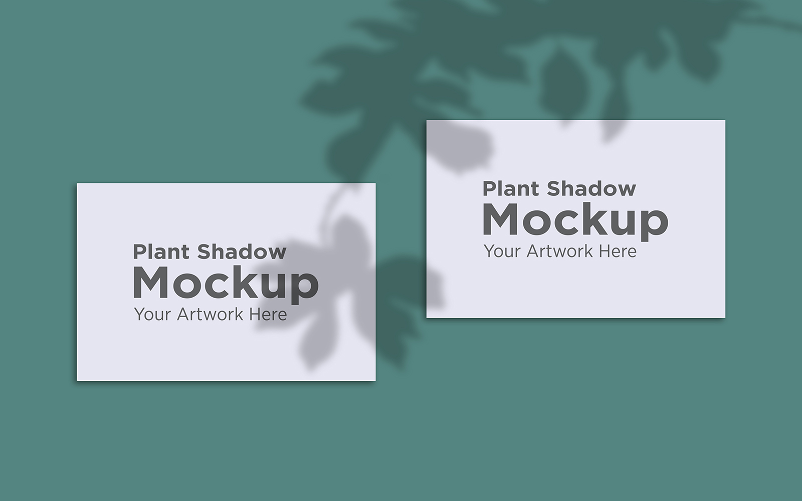 Product Mockups