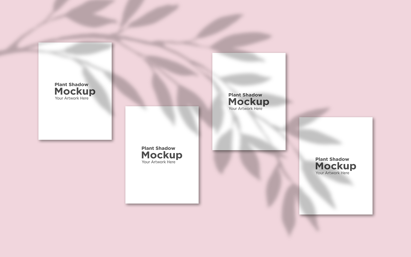 Product Mockups