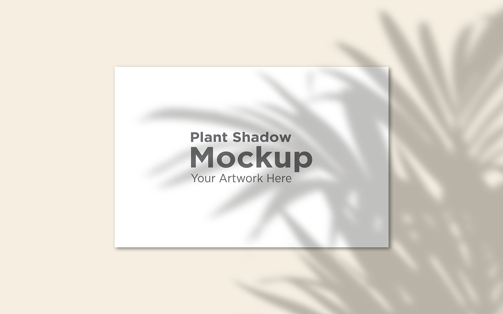 Product Mockups