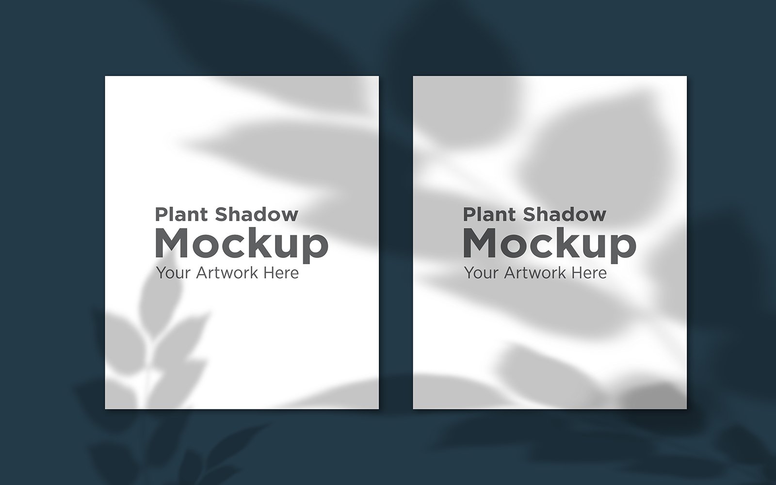 Product Mockups