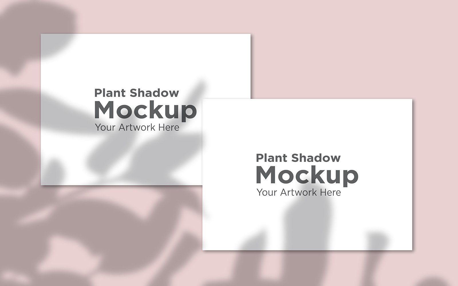 Product Mockups