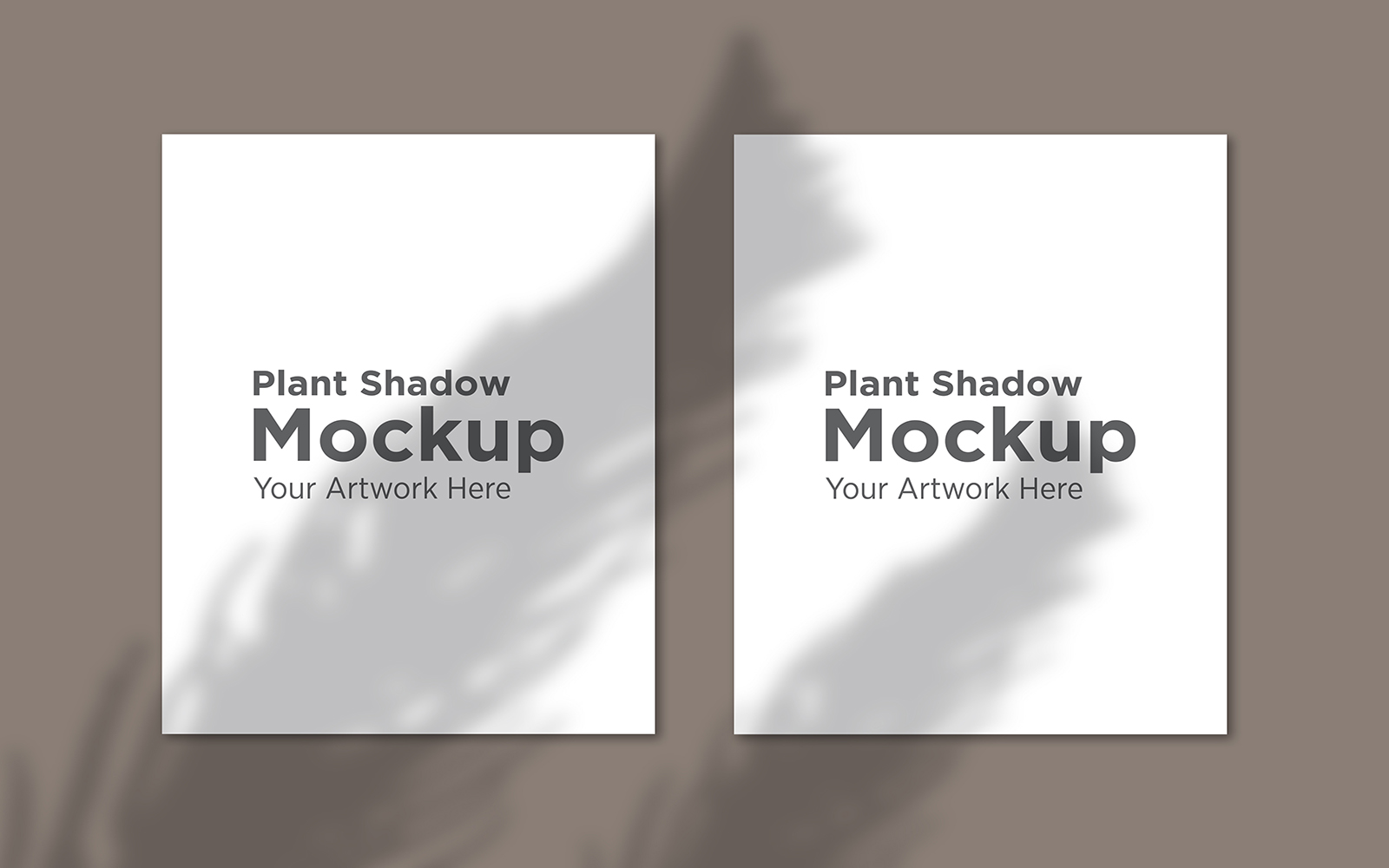 Product Mockups