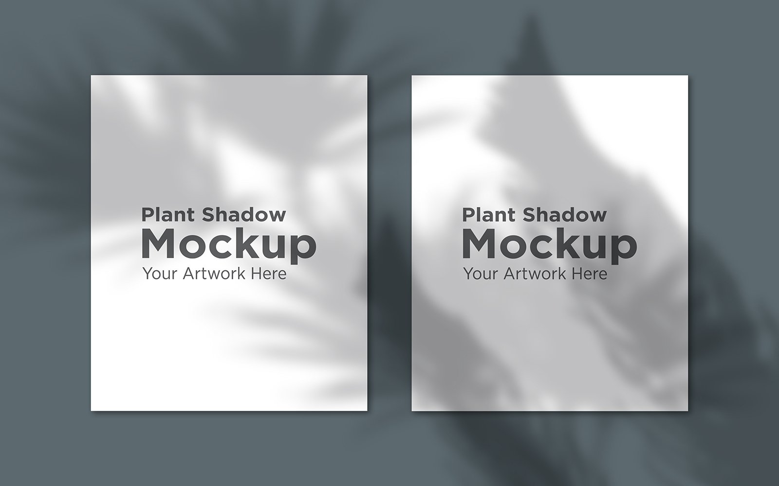 Product Mockups