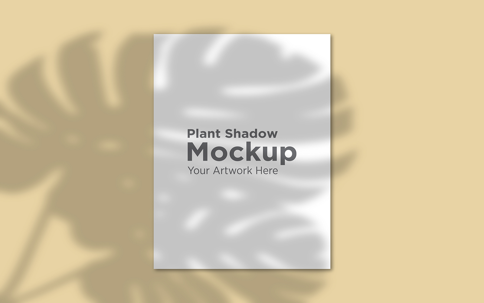 Product Mockups