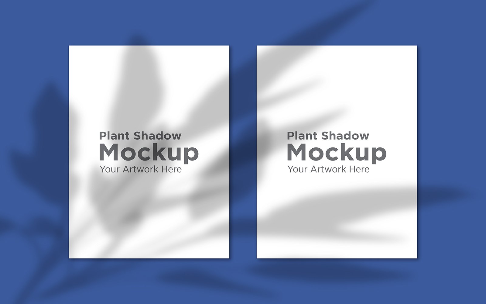 Product Mockups