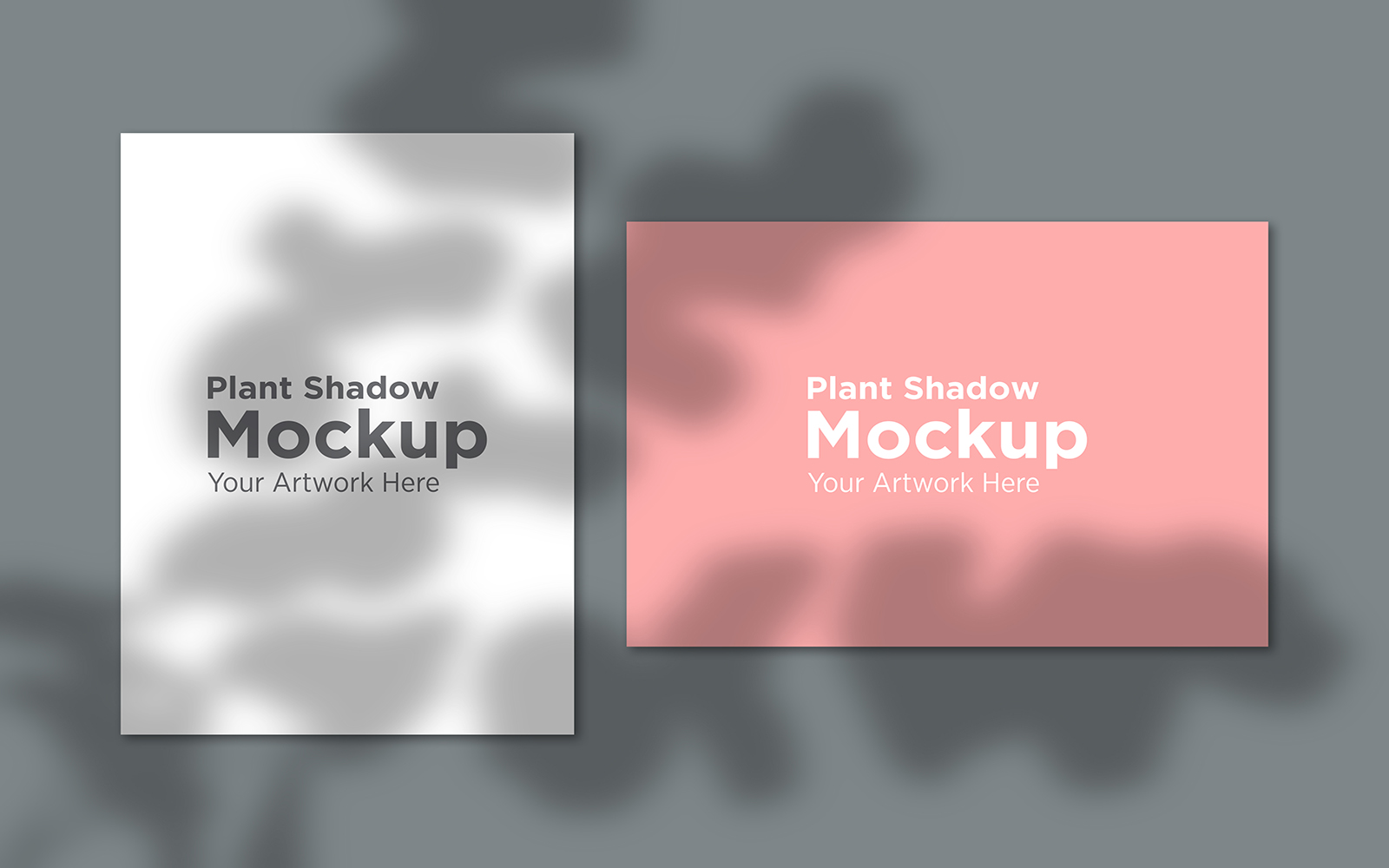 Product Mockups