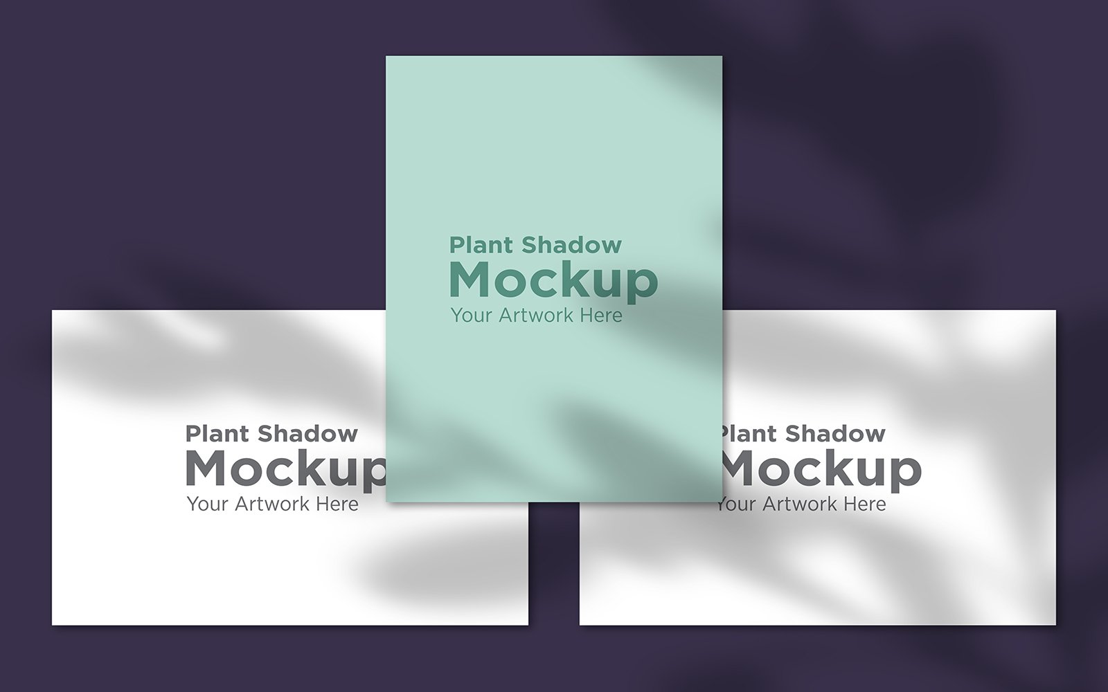 Product Mockups