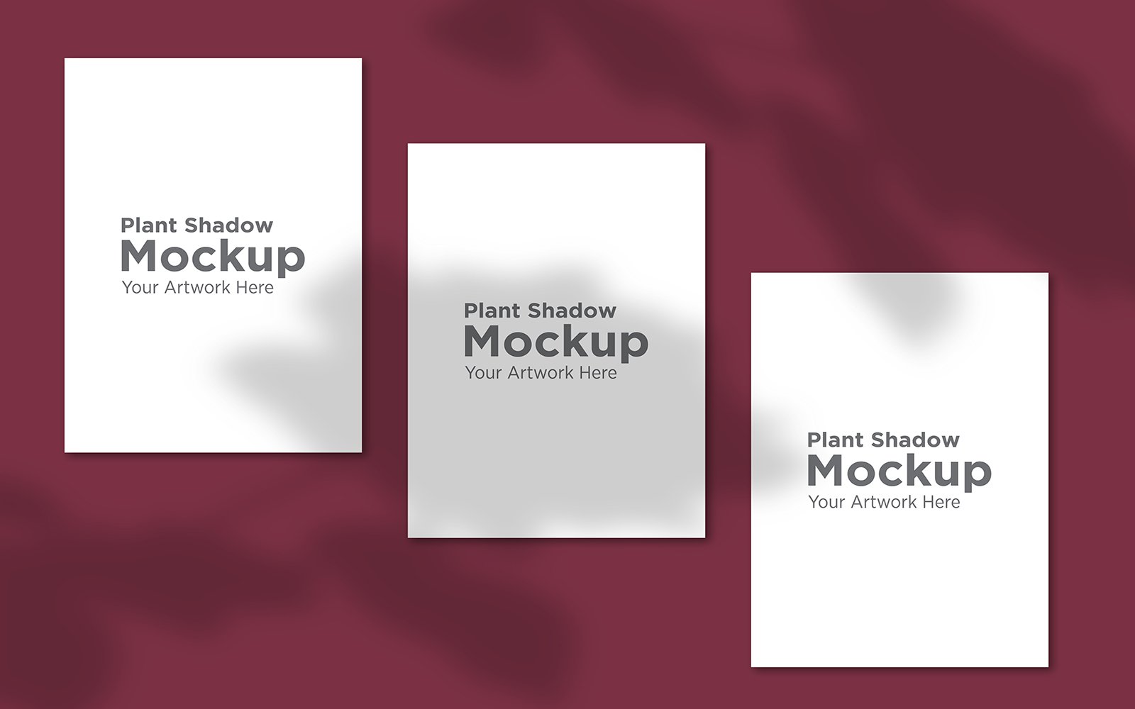 Product Mockups