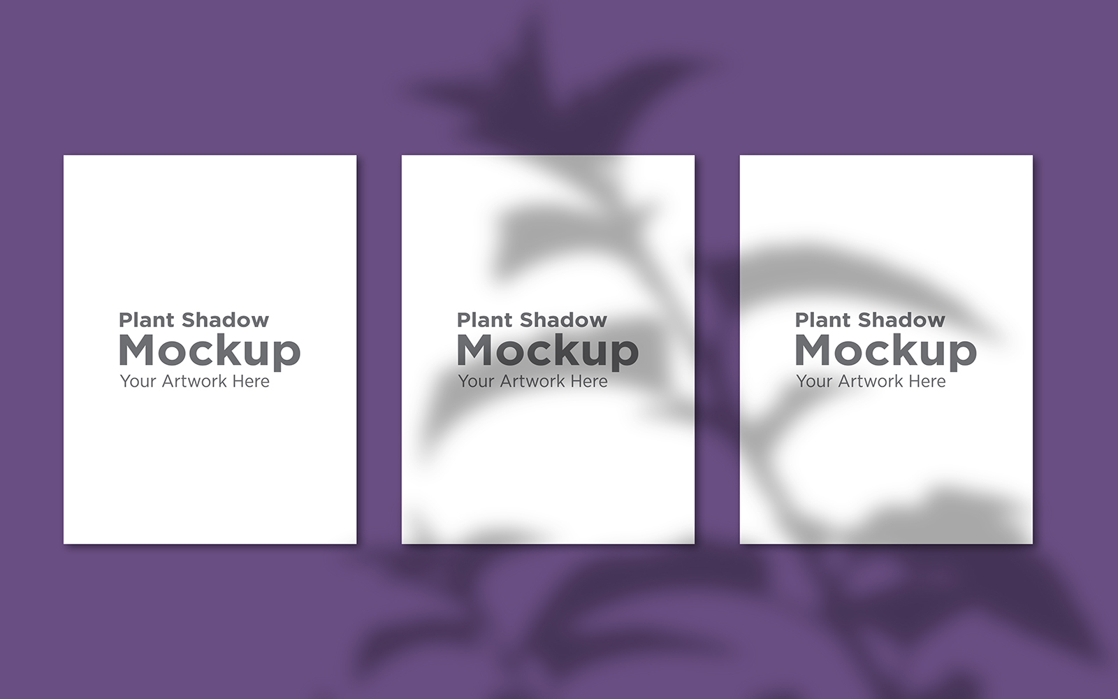 Product Mockups