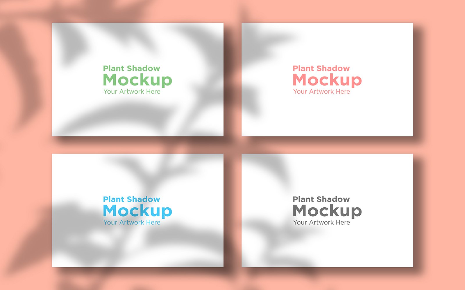 Product Mockups