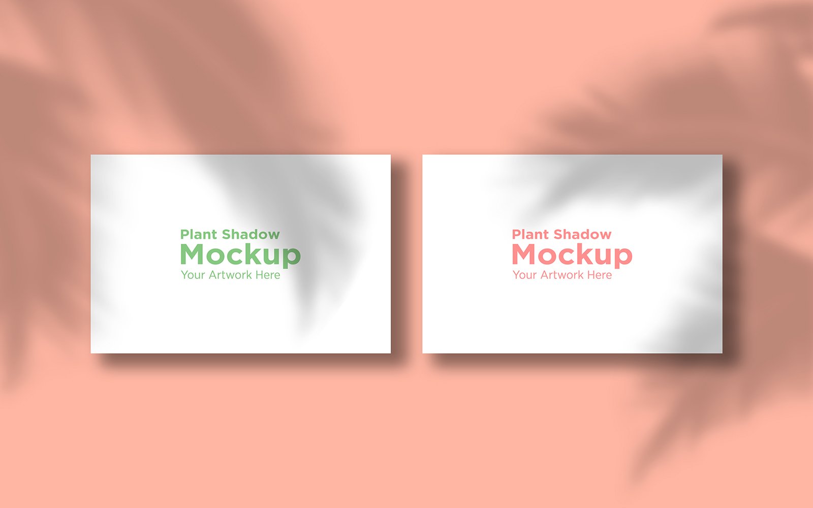 Product Mockups