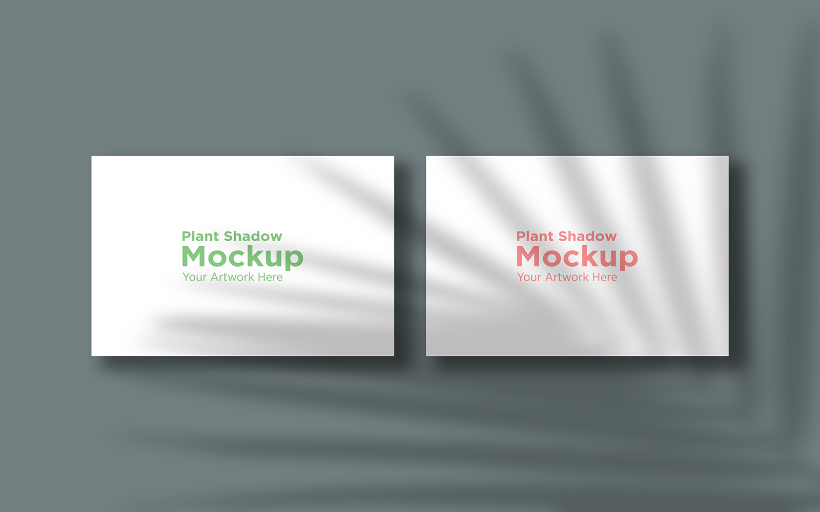 Product Mockups