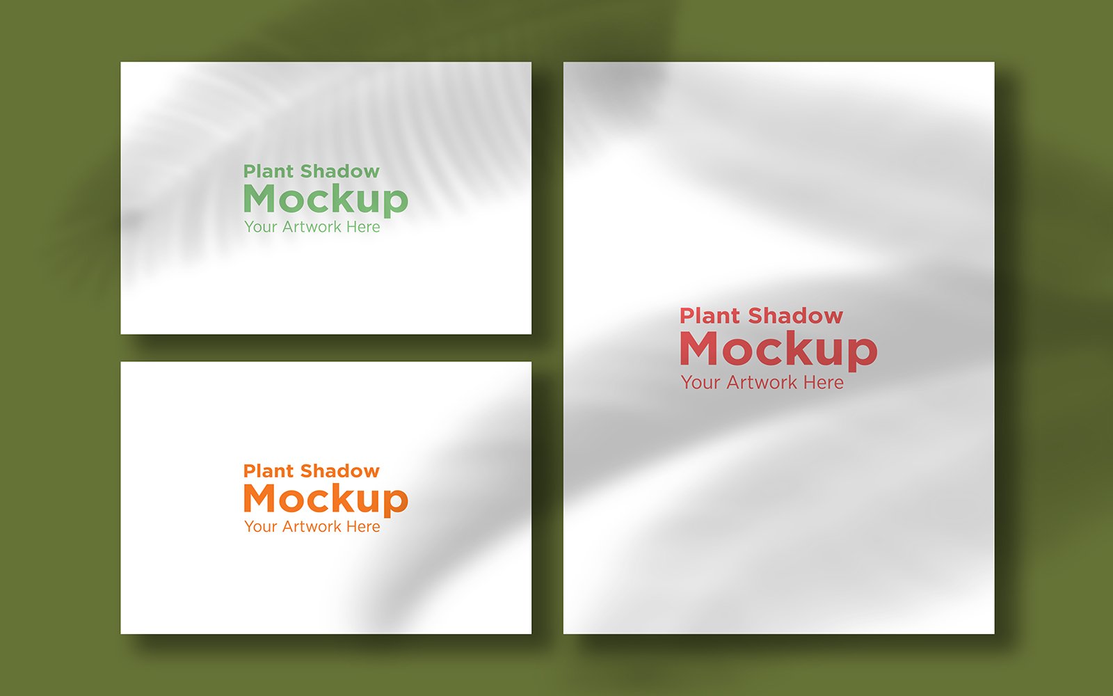 Product Mockups