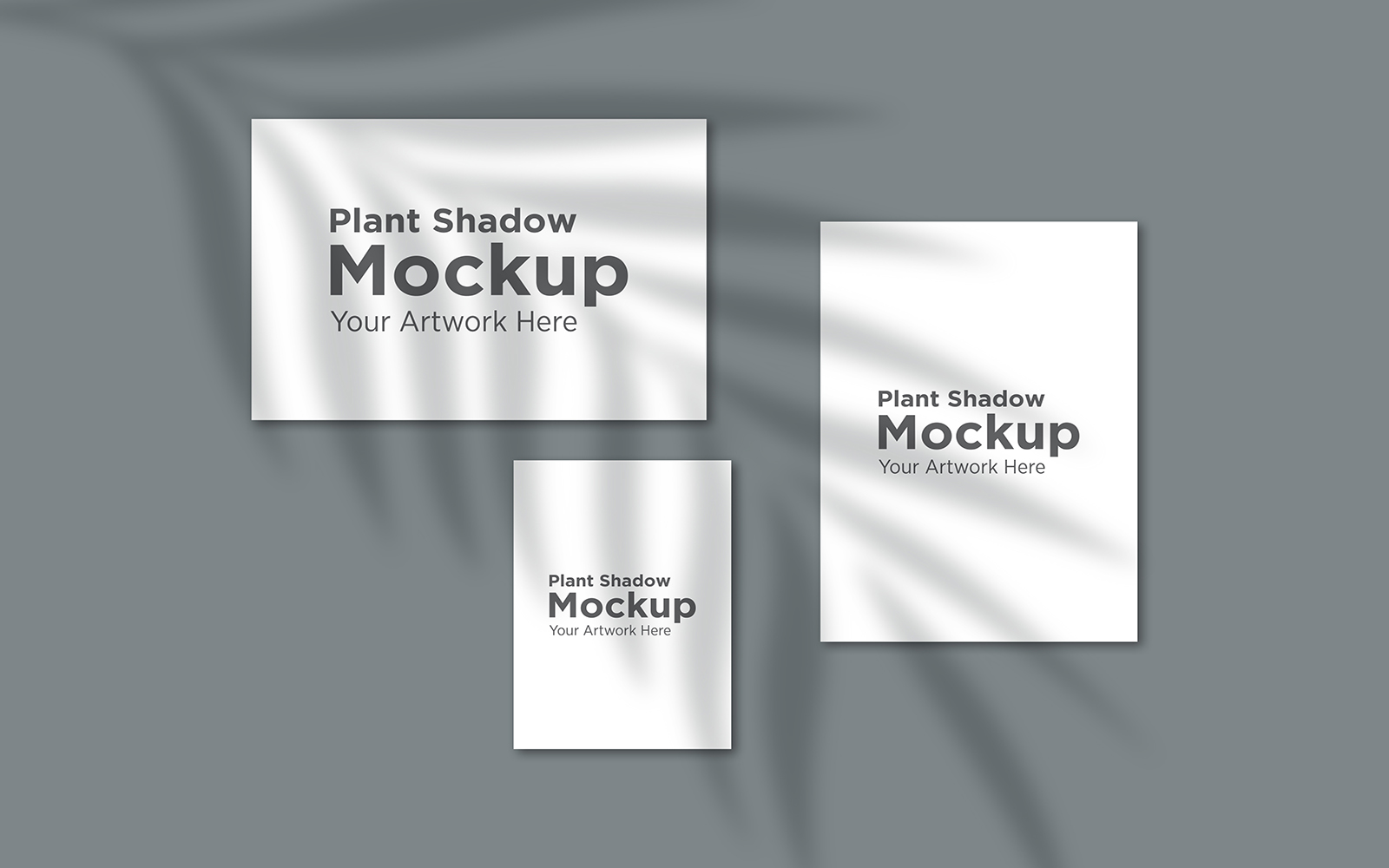 Product Mockups