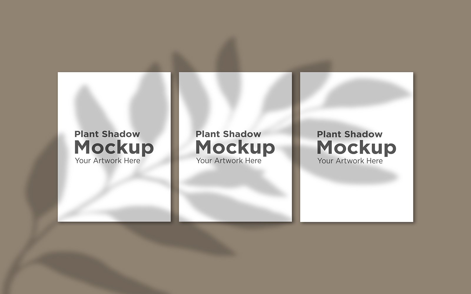 Product Mockups