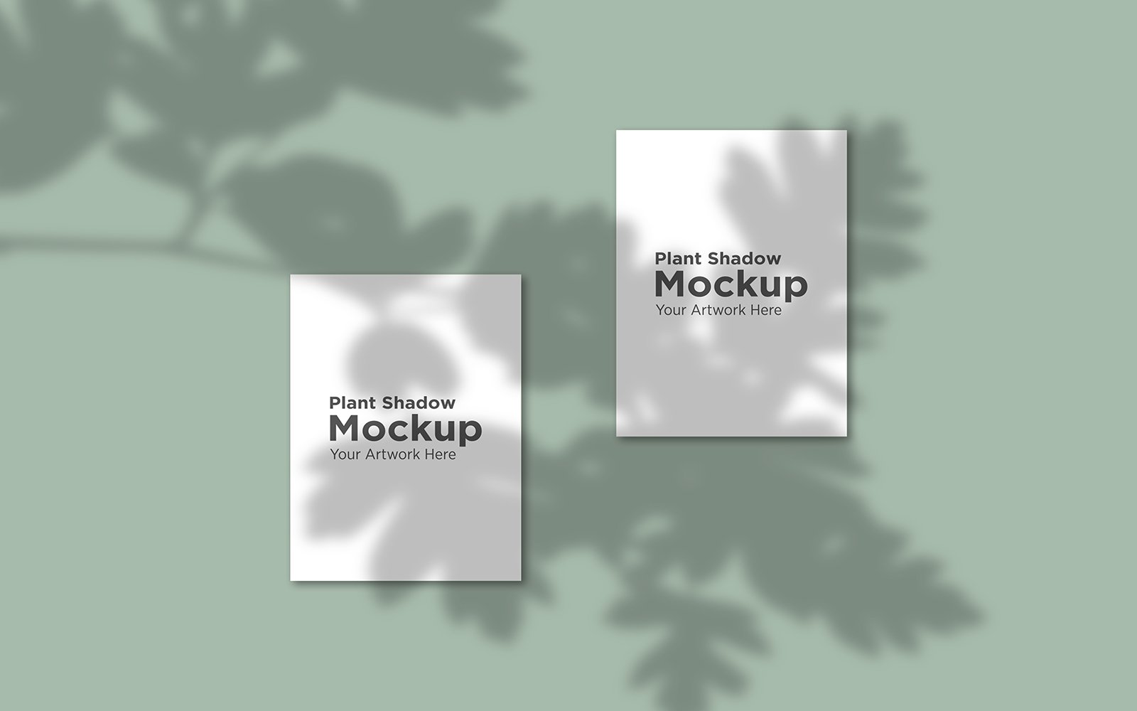 Product Mockups