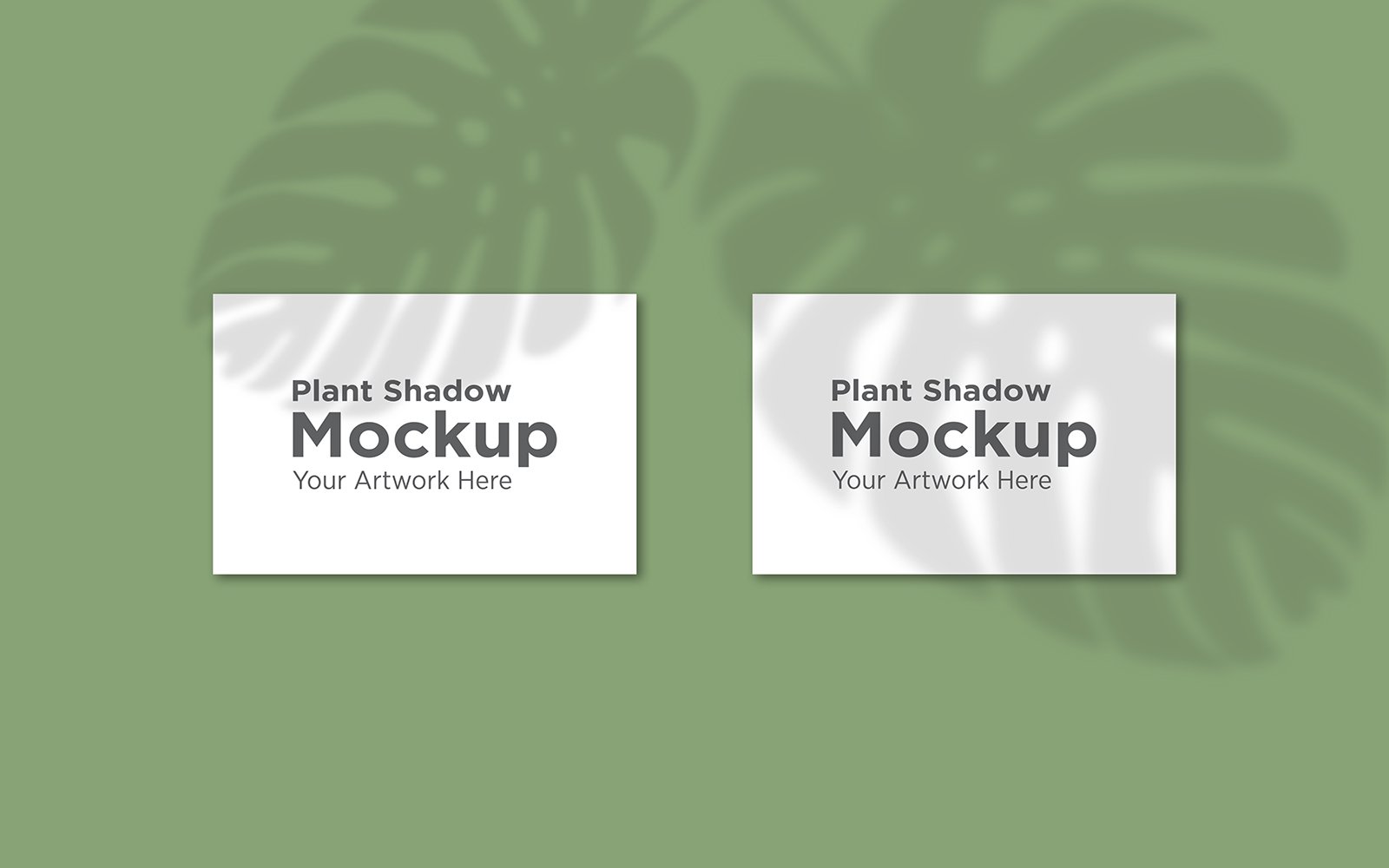 Product Mockups