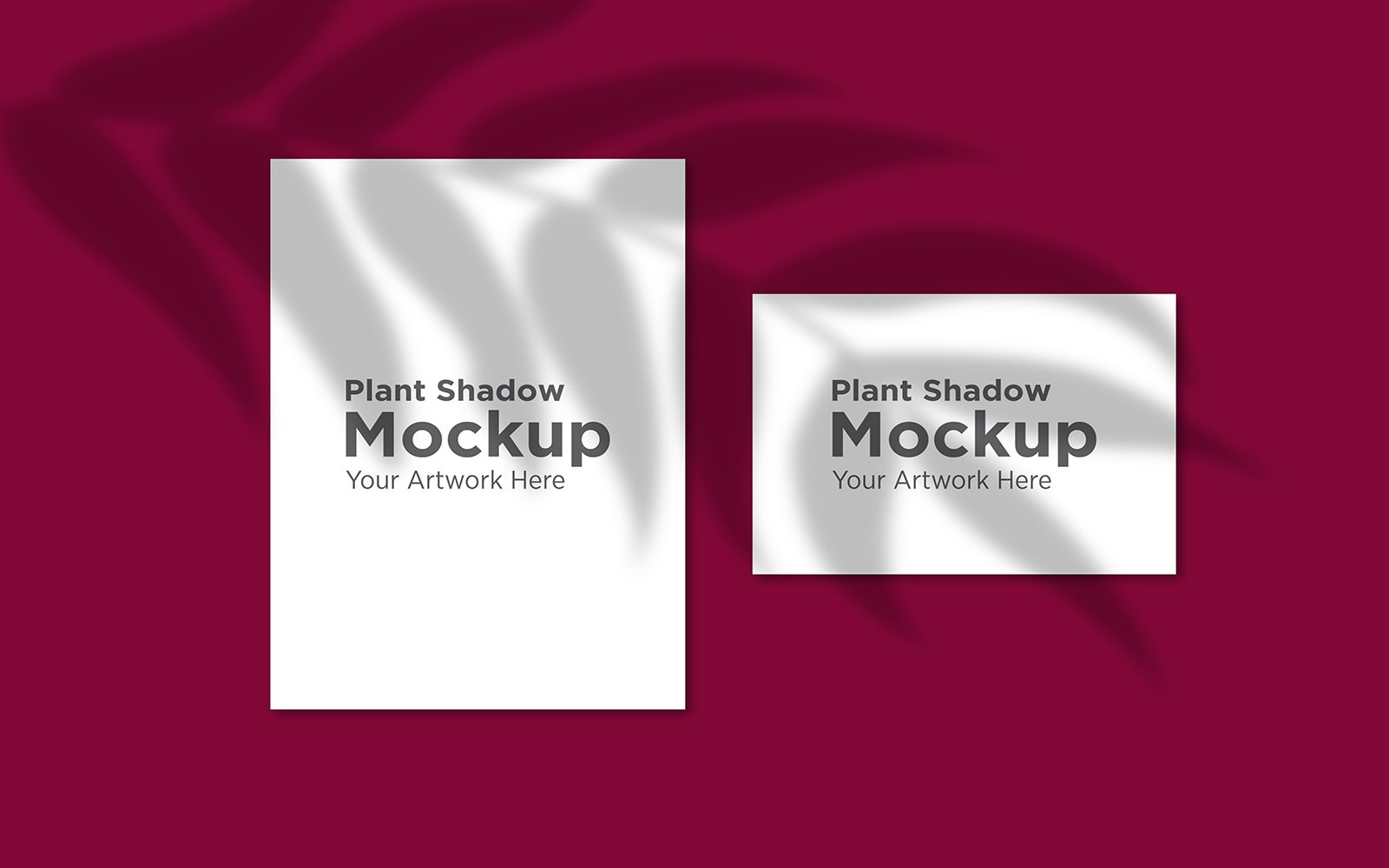 Product Mockups