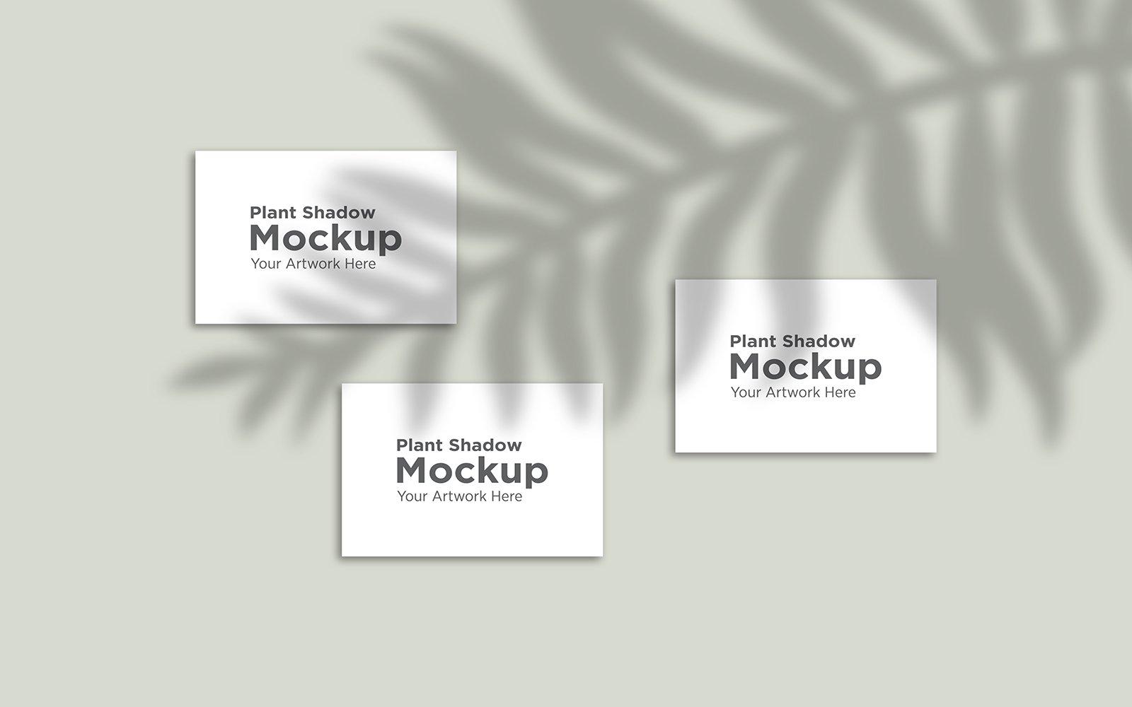 Product Mockups