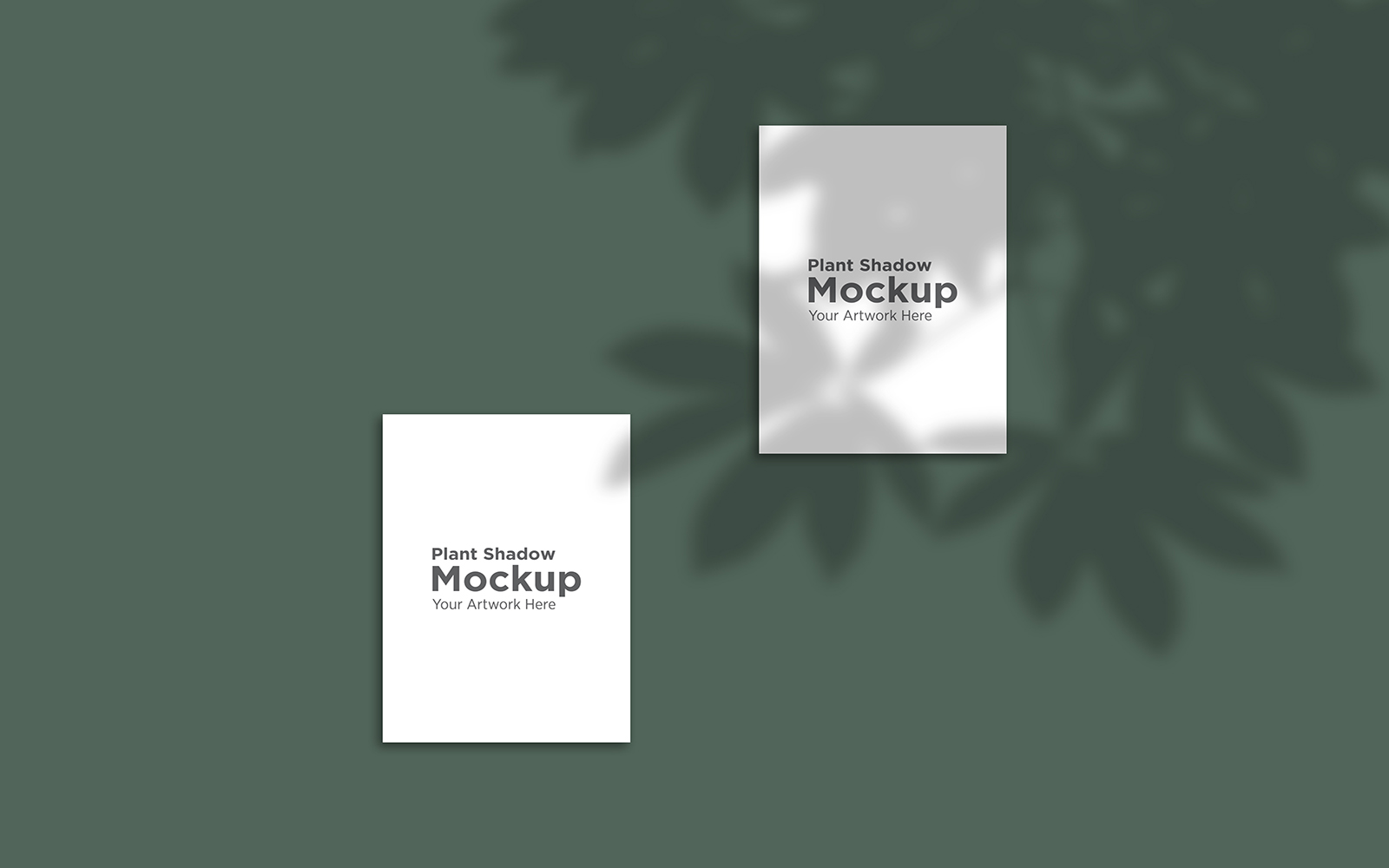 Product Mockups