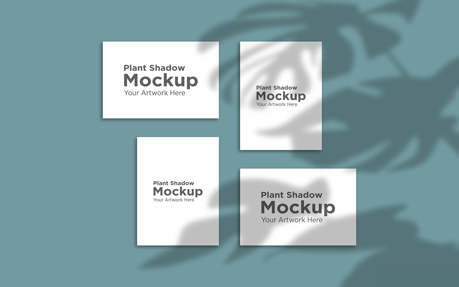 Product Mockups