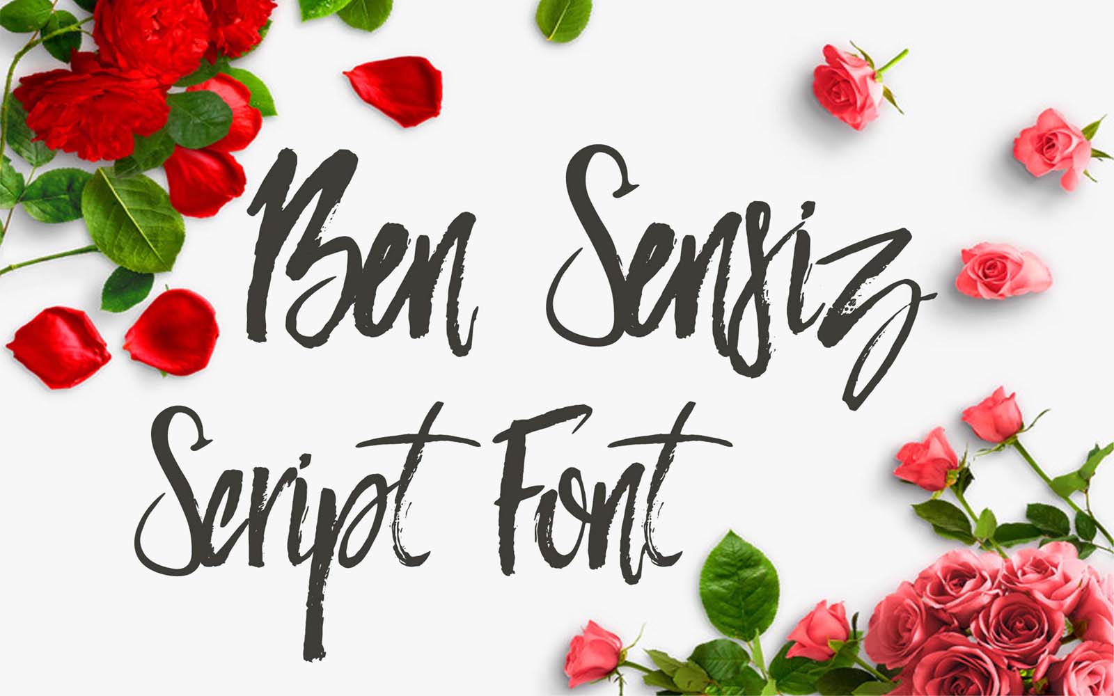 Fonts