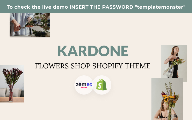 Temas Shopify