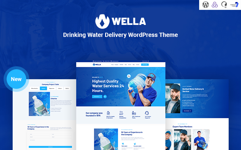 WordPress Themes