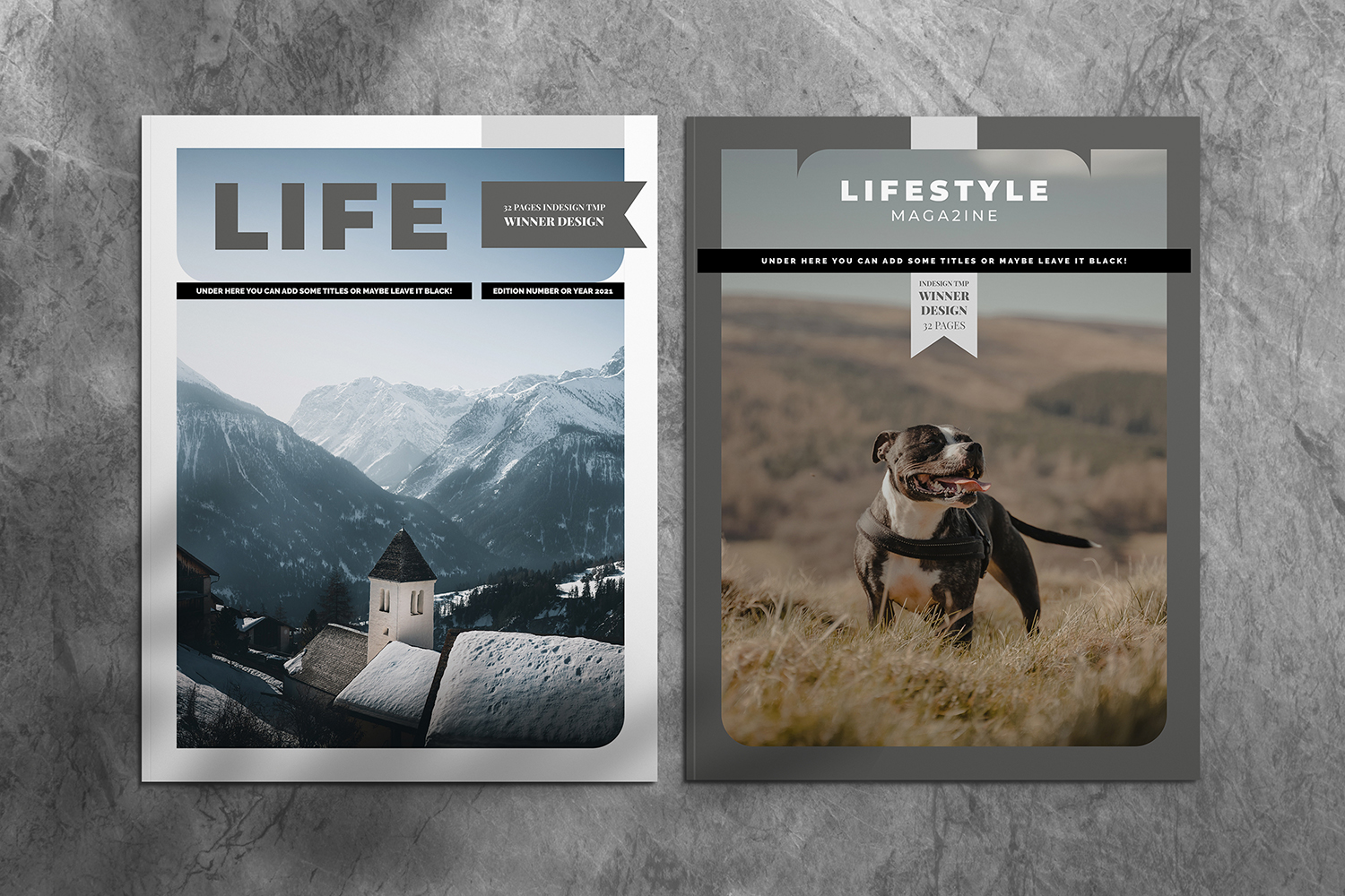 Lifestyle Indesign Magazine Template