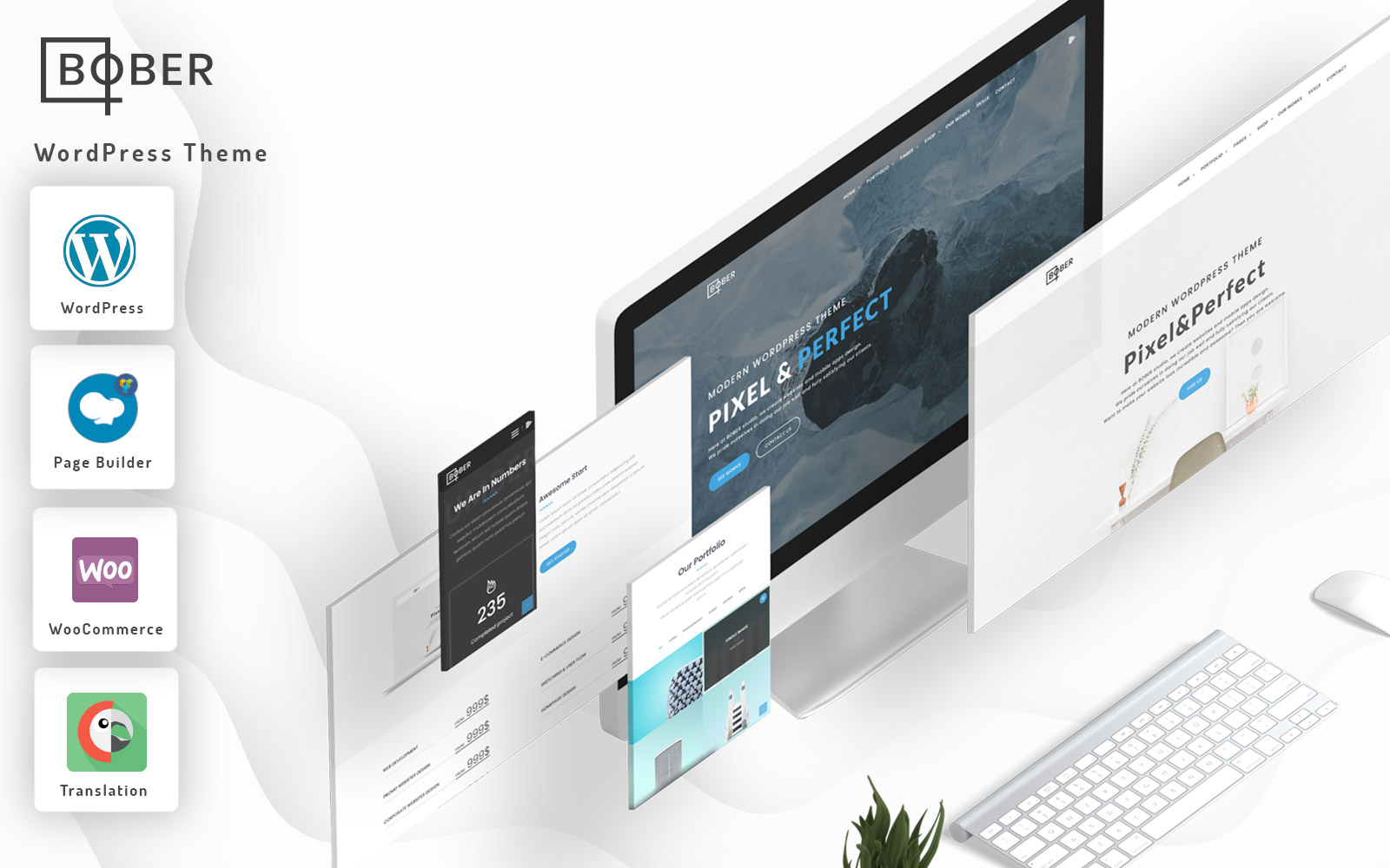 WordPress Themes