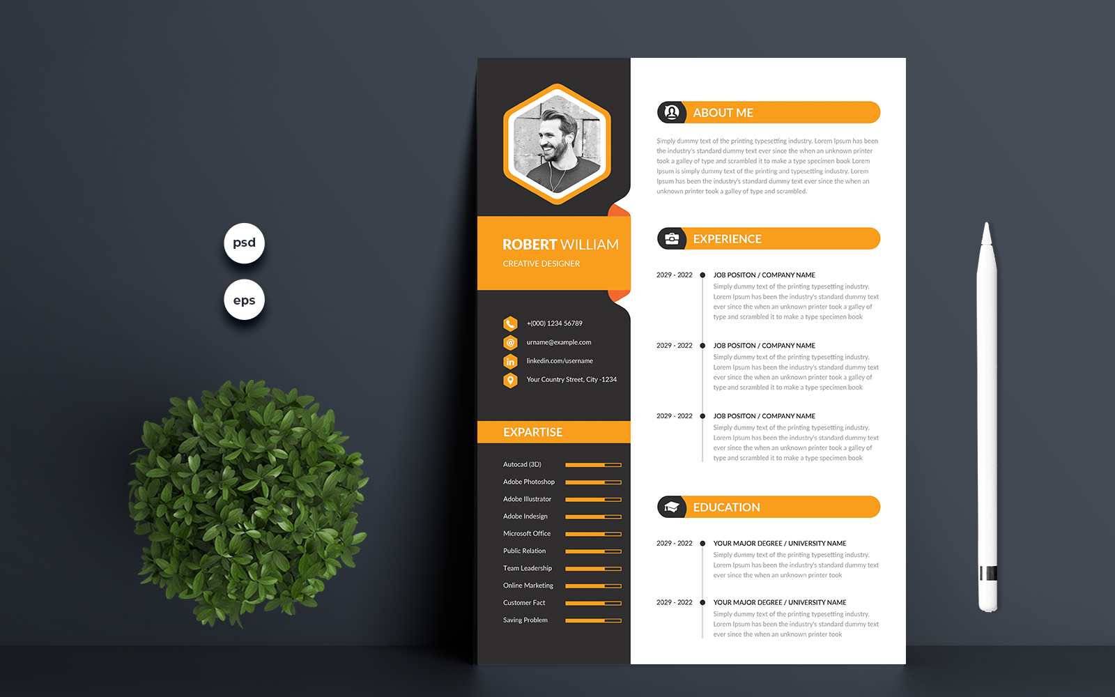 Resume Templates