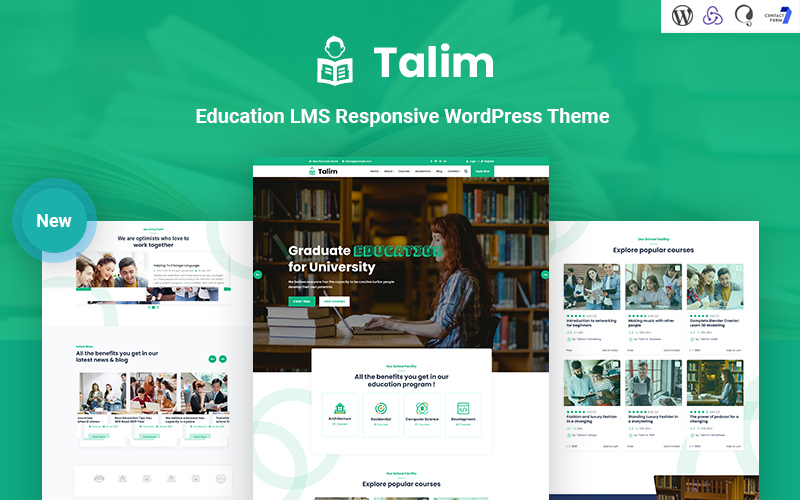 WordPress Themes