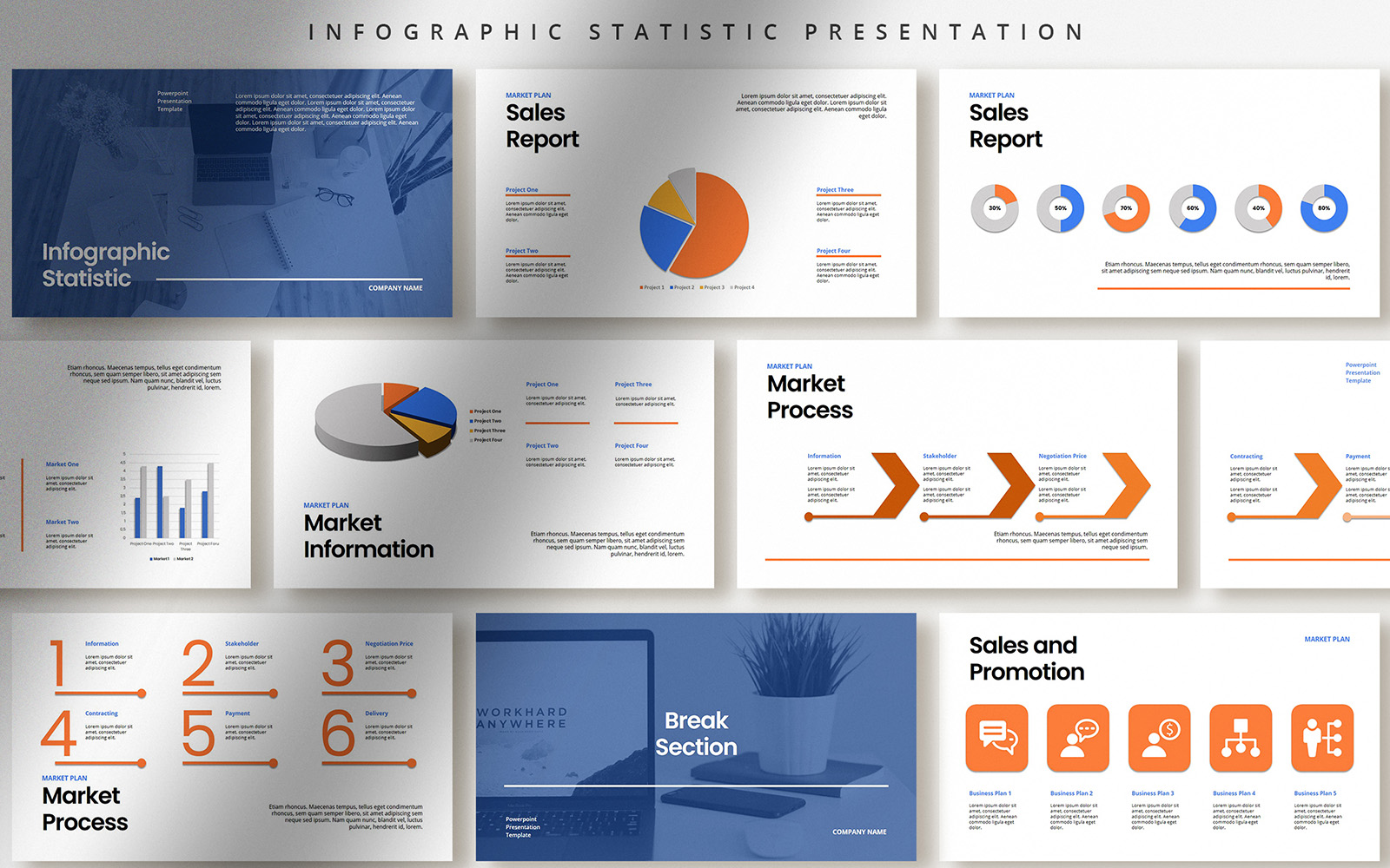 Professional Infographic Statistic Presentation
