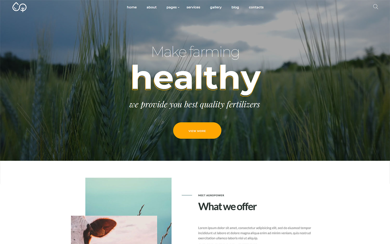 WordPress Themes